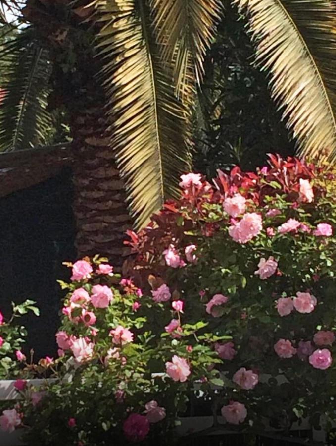 Bed and Breakfast Xokoan Biarriz Exterior foto